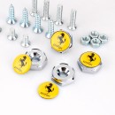 法拉利Ferrari不锈钢车牌螺丝/  stainless steel plate screw